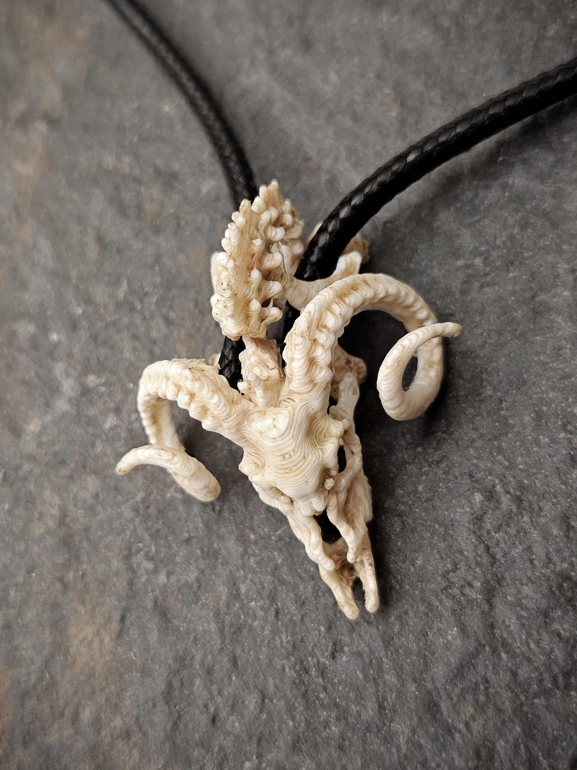 Anima Mortem Series