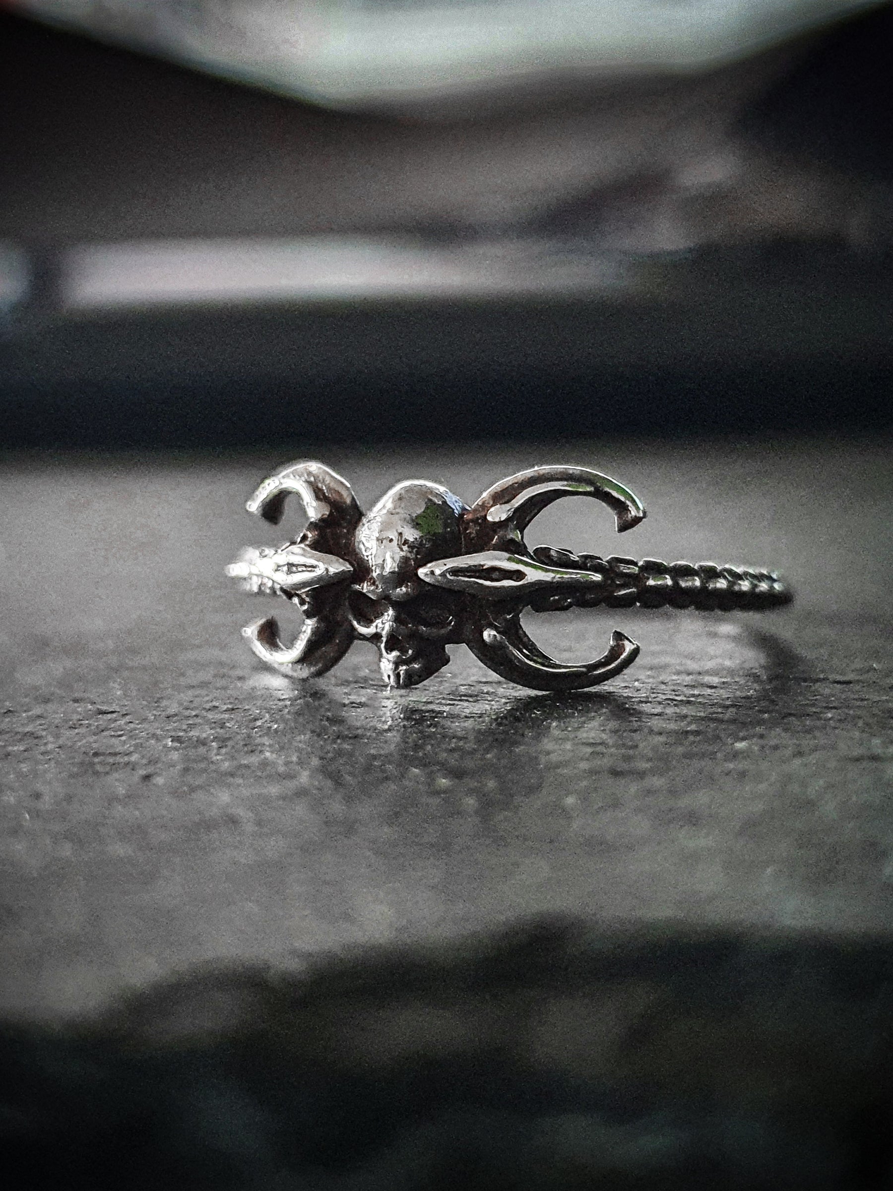 Skull Ring | Three Moons Celestial Skull Ring