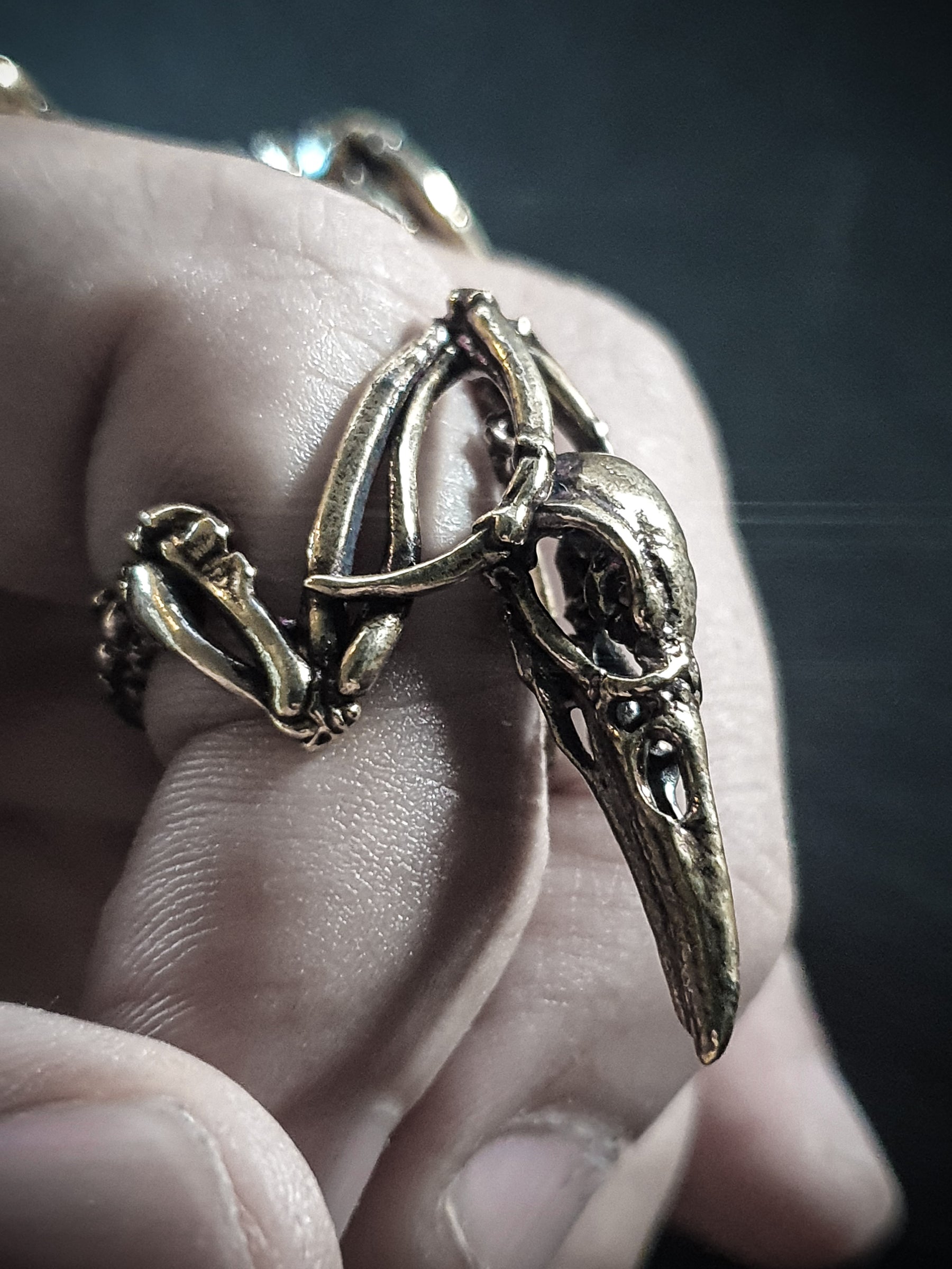 Skull Ring | Raven Crow Skeleton adjustable