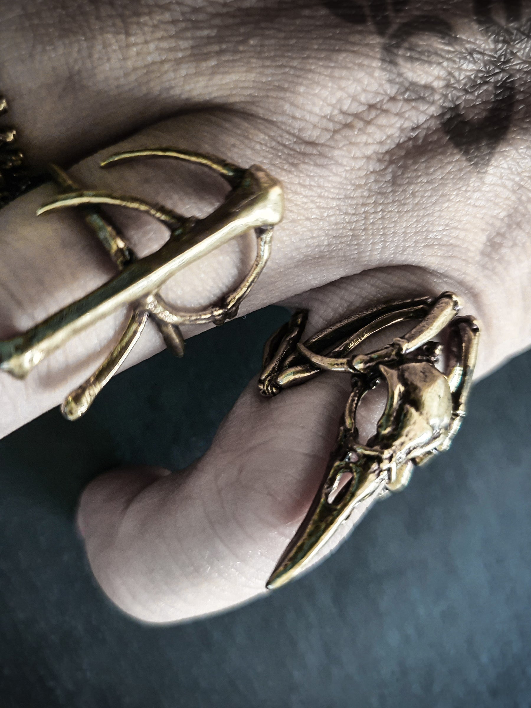 Carcass Ring | Raven Crow Skeleton adjustable