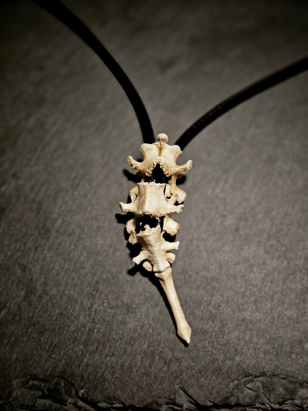 Bones Pendant | Modular Vertebrae Spinal