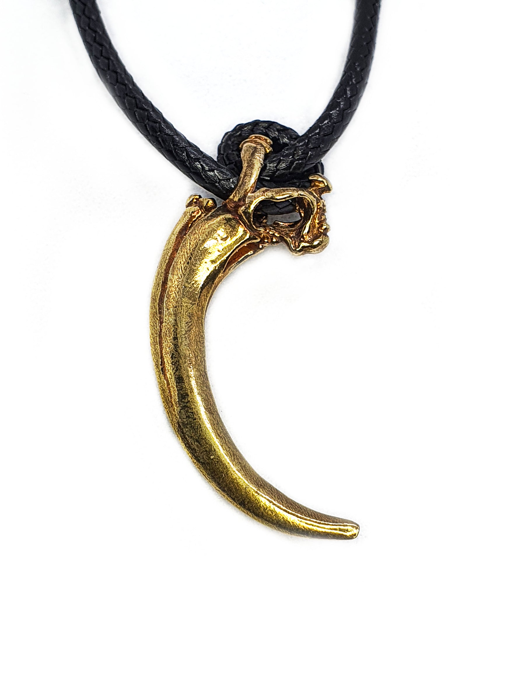 Beast Pendant | Eagle Talon Claw