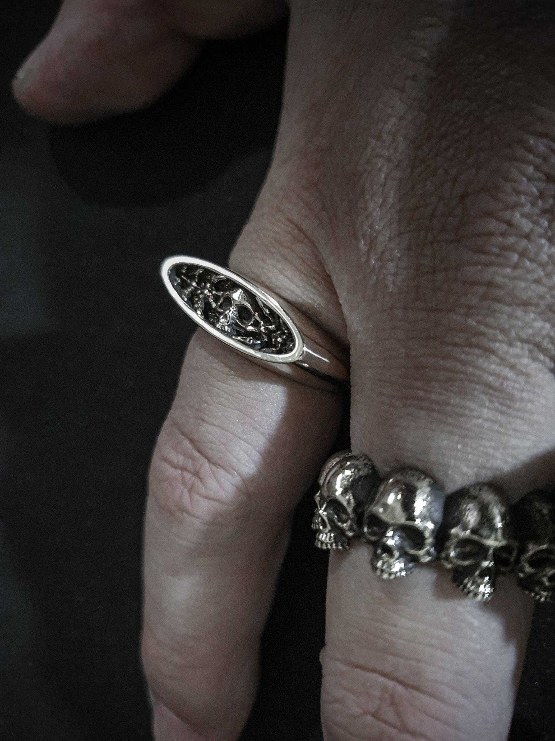 Skull Ring | High Profile Embedded Polished Sci-fi