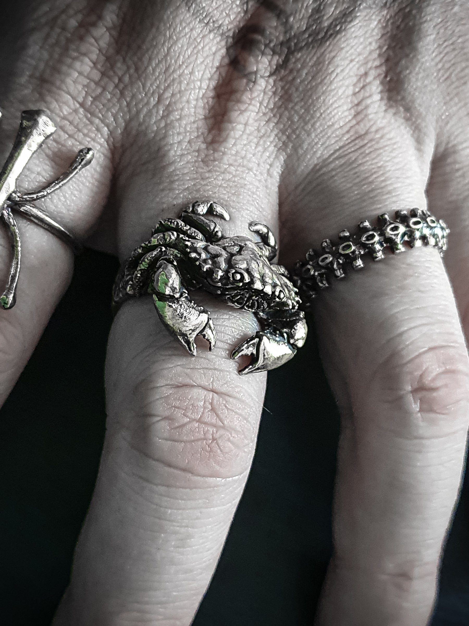 Beast Ring | Crab Cancer zodiac