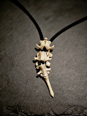 Bones Pendant | Modular Vertebrae Spinal