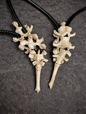 Bones Pendant | Modular Vertebrae Spinal