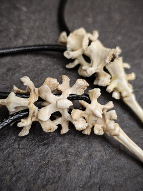 Bones Pendant | Modular Vertebrae Spinal