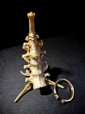 Bones Ring Stand | Vertebrae Throne