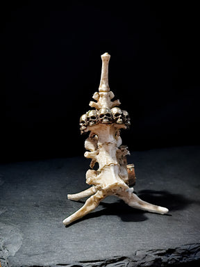 Bones Ring Stand | Vertebrae Throne
