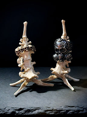 Bones Ring Stand | Vertebrae Throne