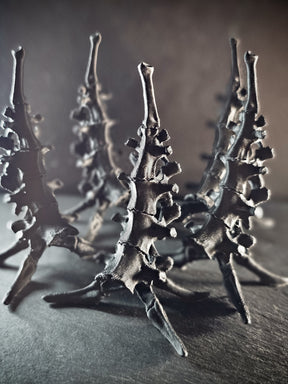 Bones Ring Stand | Vertebrae Throne