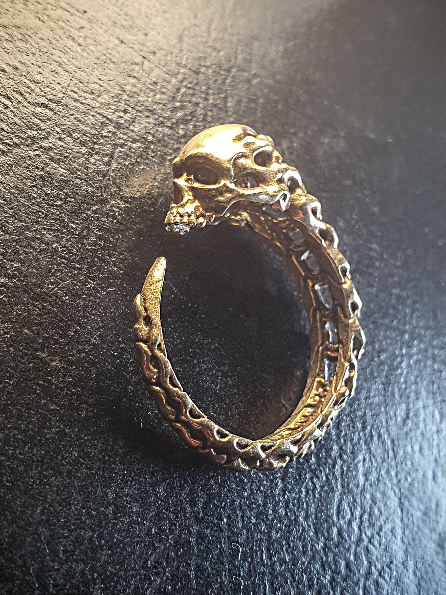 Skull Ring | Tail biting