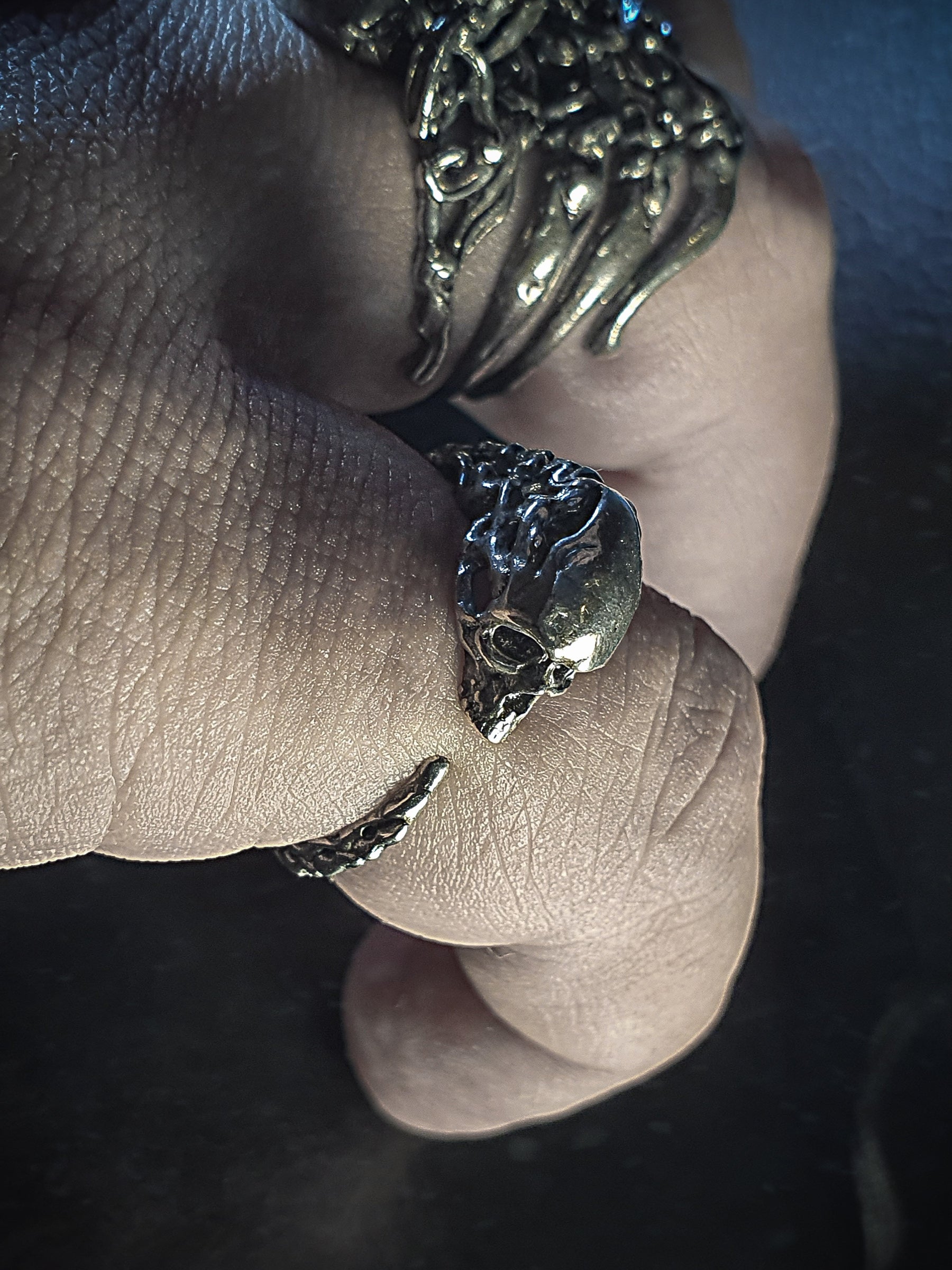 Skull Ring | Tail biting