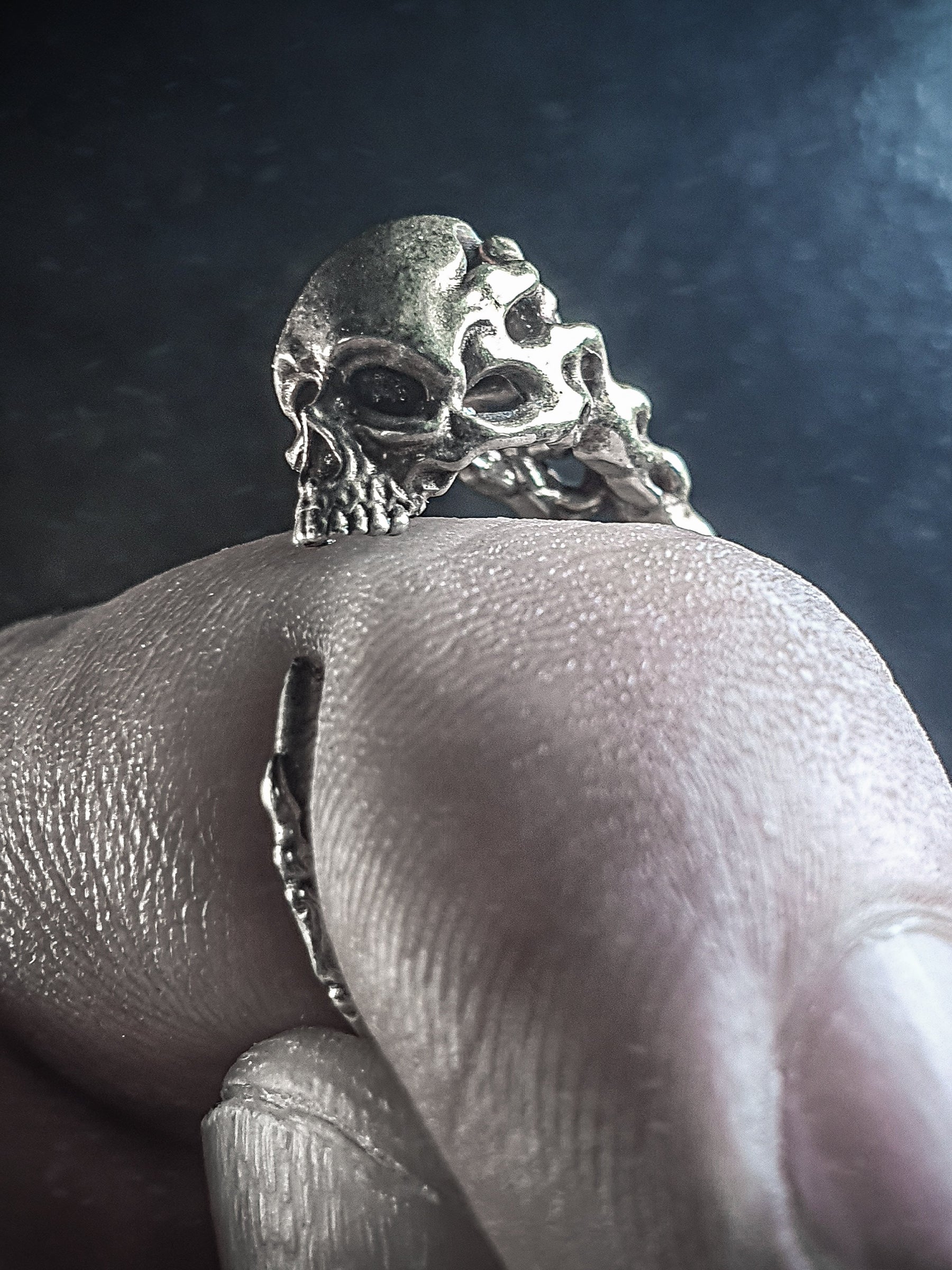 Skull Ring | Tail biting